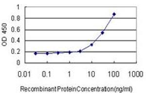 Detection limit for recombinant GST tagged SUGT1 is approximately 3ng/ml as a capture antibody. (SUGT1 抗体  (AA 151-260))