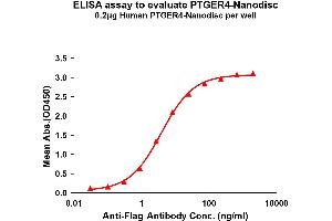 Elisa plates were pre-coated with Flag Tag PT-Nanodisc (0. (PTGER4 蛋白)