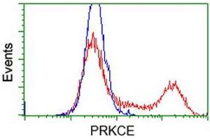 HEK293T cells transfected with either RC217702 overexpress plasmid (Red) or empty vector control plasmid (Blue) were immunostained by anti-PRKCE antibody (ABIN2454248), and then analyzed by flow cytometry. (PKC epsilon 抗体)