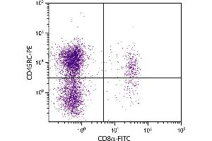 BALB/c mouse splenocytes were stained with Rat Anti-Mouse CD45RC-PE. (CD45RC 抗体  (FITC))