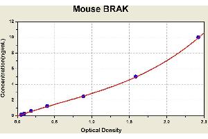 Diagramm of the ELISA kit to detect Mouse BRAKwith the optical density on the x-axis and the concentration on the y-axis. (CXCL14 ELISA 试剂盒)