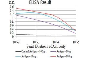 Fig. (EIF5 抗体  (AA 1-300))