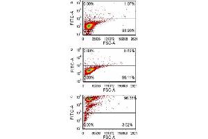 Flow Cytometry (FACS) image for anti-CAP, Adenylate Cyclase-Associated Protein 1 (CAP1) (AA 1-475) antibody (ABIN523895)