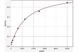 Typical standard curve (PFN1 ELISA 试剂盒)