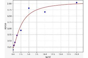 Adenylosuccinate Lyase ELISA 试剂盒