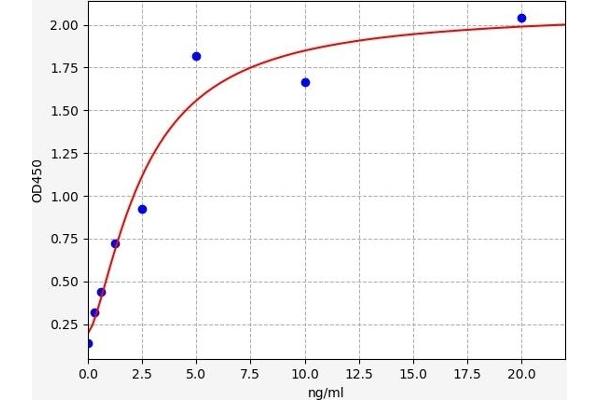 Adenylosuccinate Lyase ELISA 试剂盒