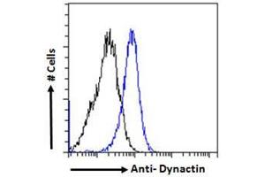 Flow Cytometry (FACS) image for anti-Dynactin 1 (DCTN1) (C-Term) antibody (ABIN184834)