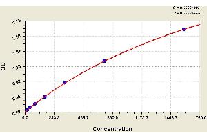 ELISA image for Coagulation Factor XIII (F13) ELISA Kit (ABIN1114224) (Factor XIII ELISA 试剂盒)