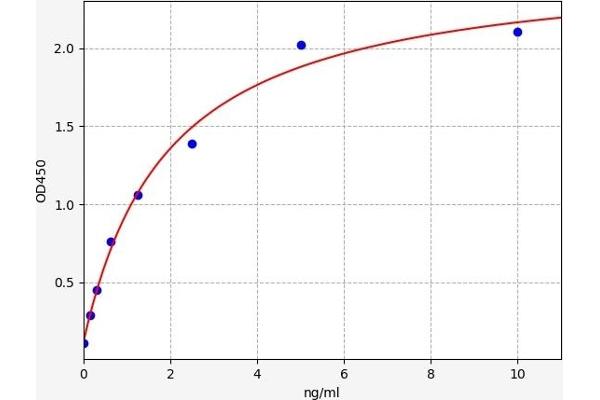 FADS1 ELISA 试剂盒