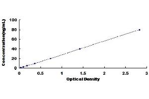 Typical Standard Curve (LGALS3BP ELISA 试剂盒)