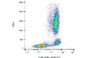 Flow cytometry analysis (surface staining) of human peripheral blood with anti-human CD87 (VIM5) purified, GAM-APC. (PLAUR 抗体)