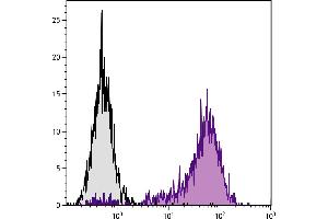 C57BL/6 mouse cytotoxic T lymphocyte cell line CTLL-2 was stained with Rat Anti-Mouse CD25-PE. (CD25 抗体  (PE-Cy7))