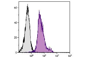 BALB/c mouse splenocytes were stained with Rat Anti-Mouse CD11a-FITC. (ITGAL 抗体  (FITC))