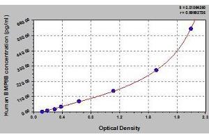 Typical standard curve (BMP8B ELISA 试剂盒)