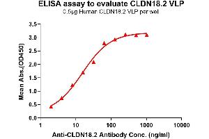 ELISA plates were pre-coated with 0. (CLDN18.2 protein-VLP)