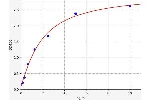 Typical standard curve (PRKACB ELISA 试剂盒)