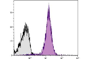 C57BL/6 mouse splenocytes were stained with Rat Anti-Mouse CD2-PE. (CD2 抗体  (PE))