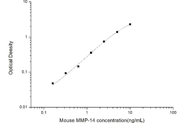 MMP14 ELISA 试剂盒