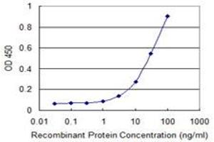 Detection limit for recombinant GST tagged FOXM1 is 1 ng/ml as a capture antibody. (FOXM1 抗体  (AA 22-110))