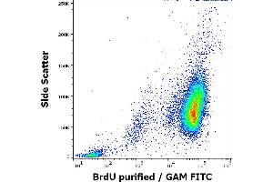Flow cytometry intracellular staining pattern of BrdU incorporated K562 cells stained using anti-BrdU (Bu20a) purified antibody (concentration in sample 4 μg/mL, GAM FITC). (BrdU 抗体)