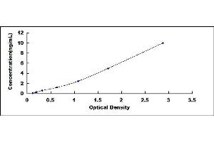 Typical standard curve (MEK1 ELISA 试剂盒)