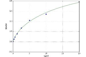 A typical standard curve (ube3a ELISA 试剂盒)