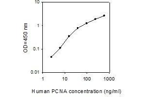 ELISA image for Proliferating Cell Nuclear Antigen (PCNA) ELISA Kit (ABIN4884109) (PCNA ELISA 试剂盒)