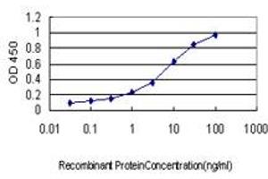 Detection limit for recombinant GST tagged GUCY2D is approximately 0. (GUCY2D 抗体  (AA 521-630))