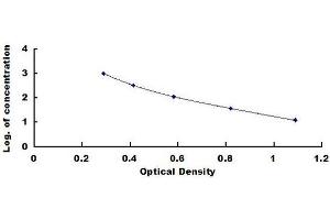 Typical standard curve (Testosterone ELISA 试剂盒)