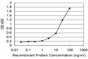 Detection limit for recombinant GST tagged TCEA3 is approximately 0. (TCEA3 抗体  (AA 1-348))