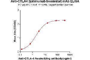 ELISA plate pre-coated by 2 μg/mL (100 μL/well) Human C, mFc-His tagged protein ([getskuurl sku