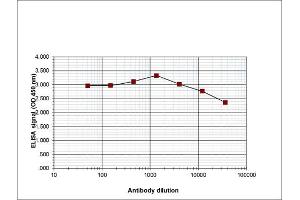 ELISA of anti-Histone H3 K27 me2 antibody ELISA results of Rabbit anti-Histone H3 K27 me2 antibody. (HIST1H3A 抗体  (H3K27me2))