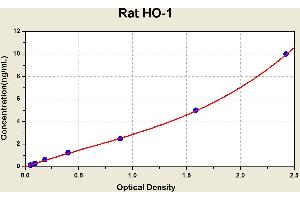 Diagramm of the ELISA kit to detect Rat HO-1with the optical density on the x-axis and the concentration on the y-axis. (HMOX1 ELISA 试剂盒)