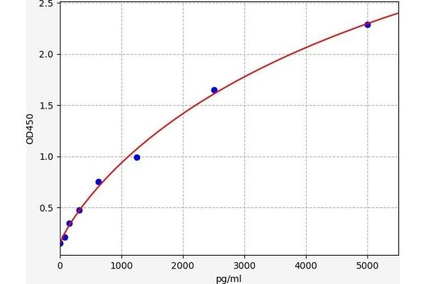 SMC4 ELISA 试剂盒