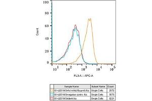 Flow cytometry: U-251 MG cells were stained with Rabbit IgG isotype control (, 10 μg/mL, blue line) or Axl Rabbit mAb (ABIN7265803, 10 μg/mL orange line), followed by Alexa Fluor 647 conjugated goat anti-rabbit pAb(1:600 dilution) staining. (AXL 抗体)