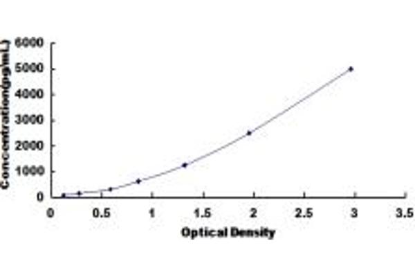 BCL9 ELISA 试剂盒