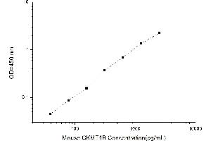 Typical standard curve (CKMT1B ELISA 试剂盒)