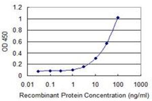 Detection limit for recombinant GST tagged CAPN11 is 1 ng/ml as a capture antibody. (CAPN11 抗体  (AA 557-651))