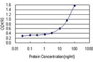Sandwich ELISA detection sensitivity ranging from 1 ng/mL to 100 ng/mL. (AK1 (人) Matched Antibody Pair)