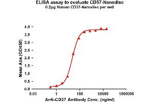 ELISA image for Tetraspanin 26 (TSPAN26) protein (ABIN7491580)