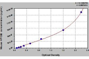 Procollagen, Type III ELISA 试剂盒