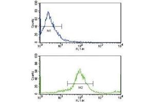 Flow cytometric analysis of MCF-7 cells using HER2 / ErbB2 antibody (bottom histogram) compared to a negative control cell (top histogram). (ErbB2/Her2 抗体  (AA 21-52))