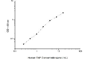 Typical standard curve (Trypsinogen Activation Peptide ELISA 试剂盒)