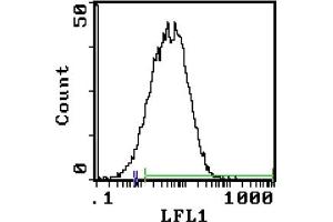 Cell Source: T Cell Blasts - Percentage of cells stained above control:86. (Transferrin Receptor 抗体  (Biotin))