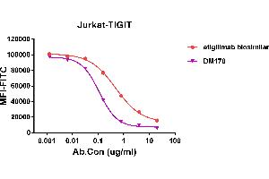 Competition assay demonstrating DM178 blockade of CD155 binding to Jurkat cell line transfected with human TIGIT,and competitive activity is better than etigilimab biosimilar. (TIGIT 抗体  (AA 22-141))