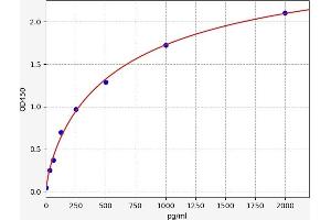 ADAMTS6 ELISA 试剂盒