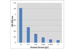Total carbohydrate detection in human serum using Total Carbohydrate Assay Kit. (Total Carbohydrate Assay Kit)