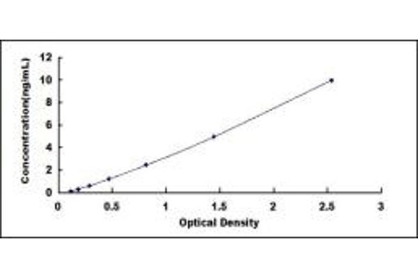 vps13d ELISA 试剂盒