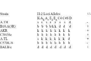 Image no. 1 for anti-MHC Class II I-Ek antibody (FITC) (ABIN114318) (MHC Class II I-Ek 抗体  (FITC))