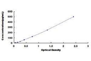 ELISA image for Chemokine (C-C Motif) Ligand 3 (CCL3) ELISA Kit (ABIN414224) (CCL3 ELISA 试剂盒)